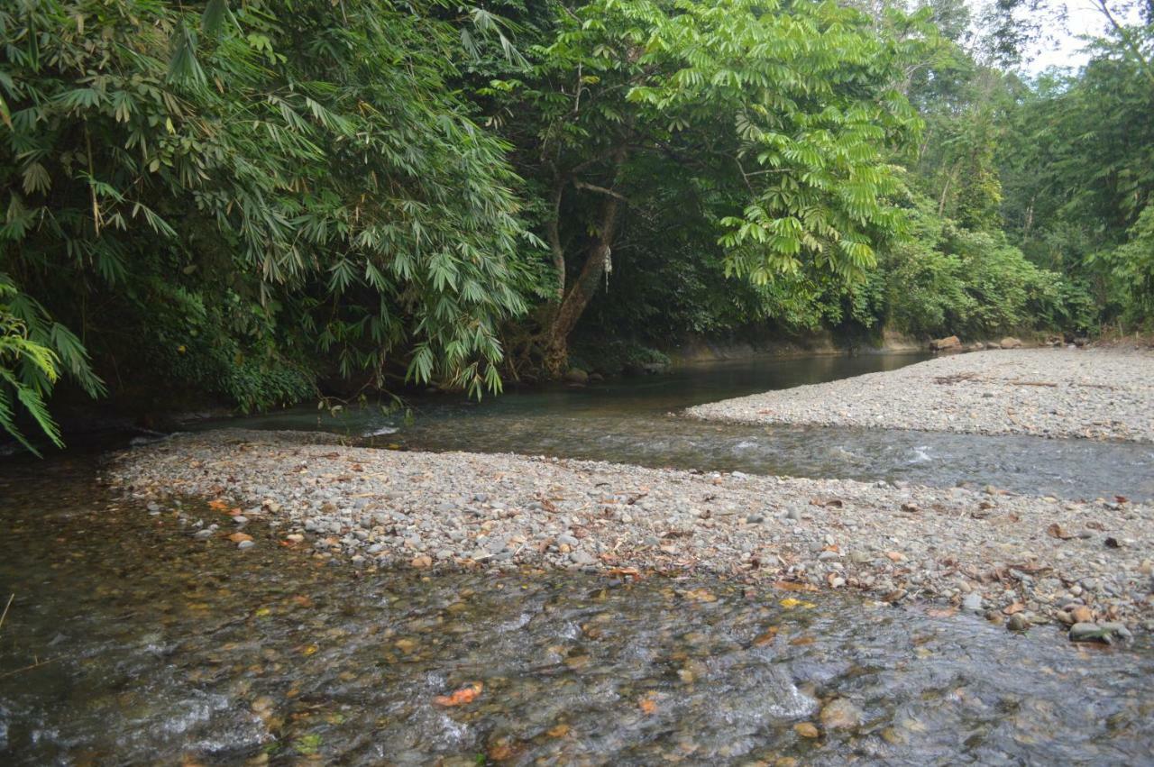 בוקיט לוואנג Landak River Guest House Only Trekking With Us מראה חיצוני תמונה
