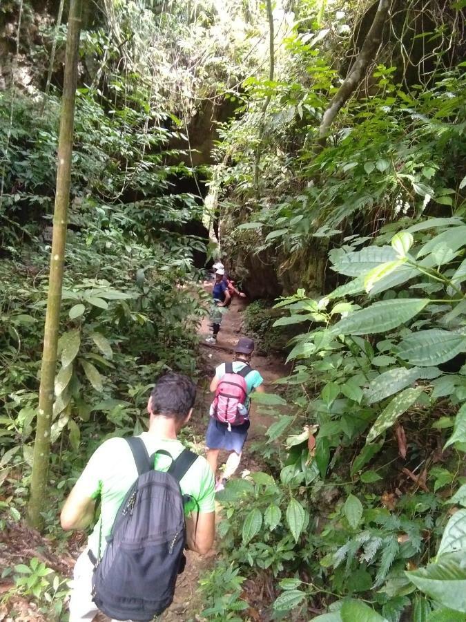 בוקיט לוואנג Landak River Guest House Only Trekking With Us מראה חיצוני תמונה