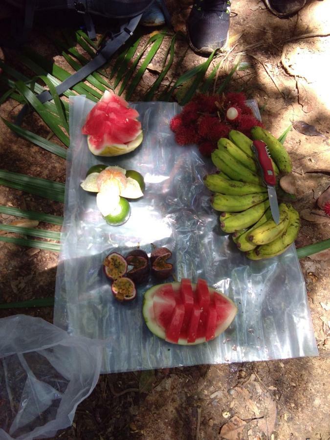 בוקיט לוואנג Landak River Guest House Only Trekking With Us מראה חיצוני תמונה